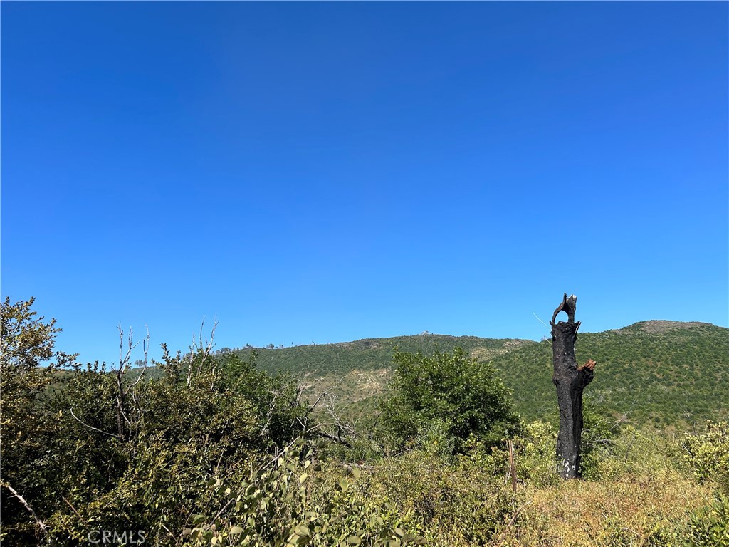 0 Coniston Property Photo 1