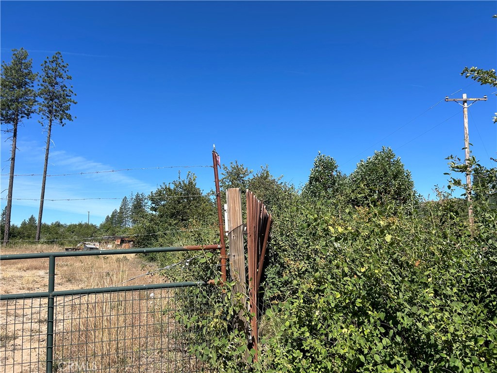 3520 Hoffman Road Property Photo 4