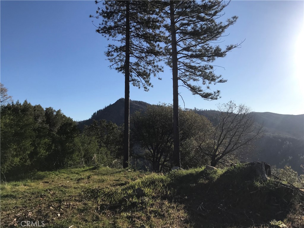 13660 Skyway Property Photo 1