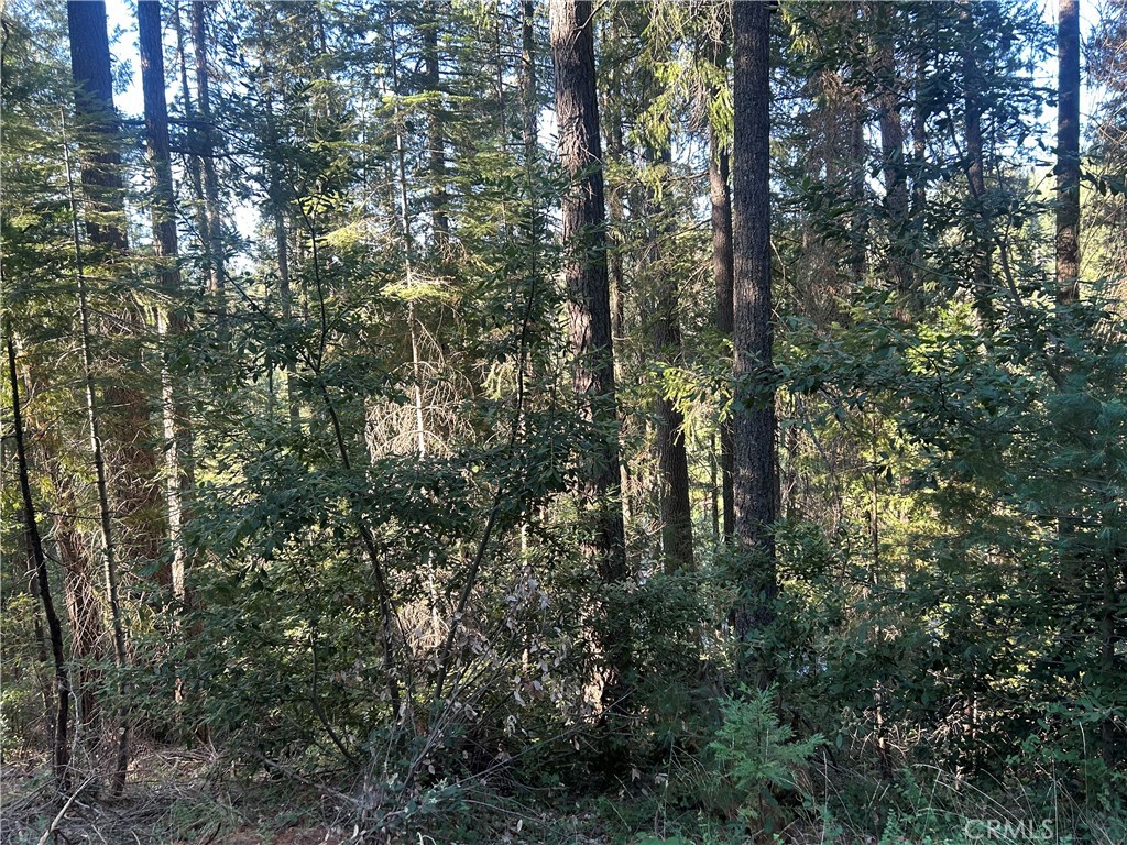 6418 Hupp Coutolenc Road Property Photo 10