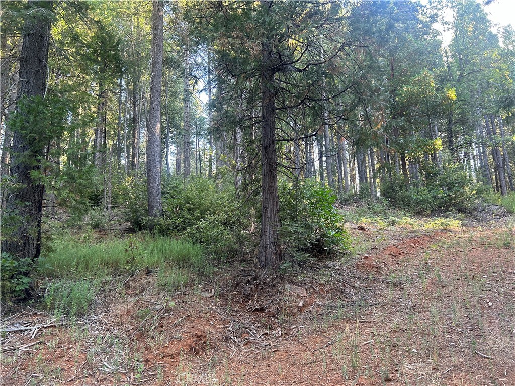6418 Hupp Coutolenc Road Property Photo 11