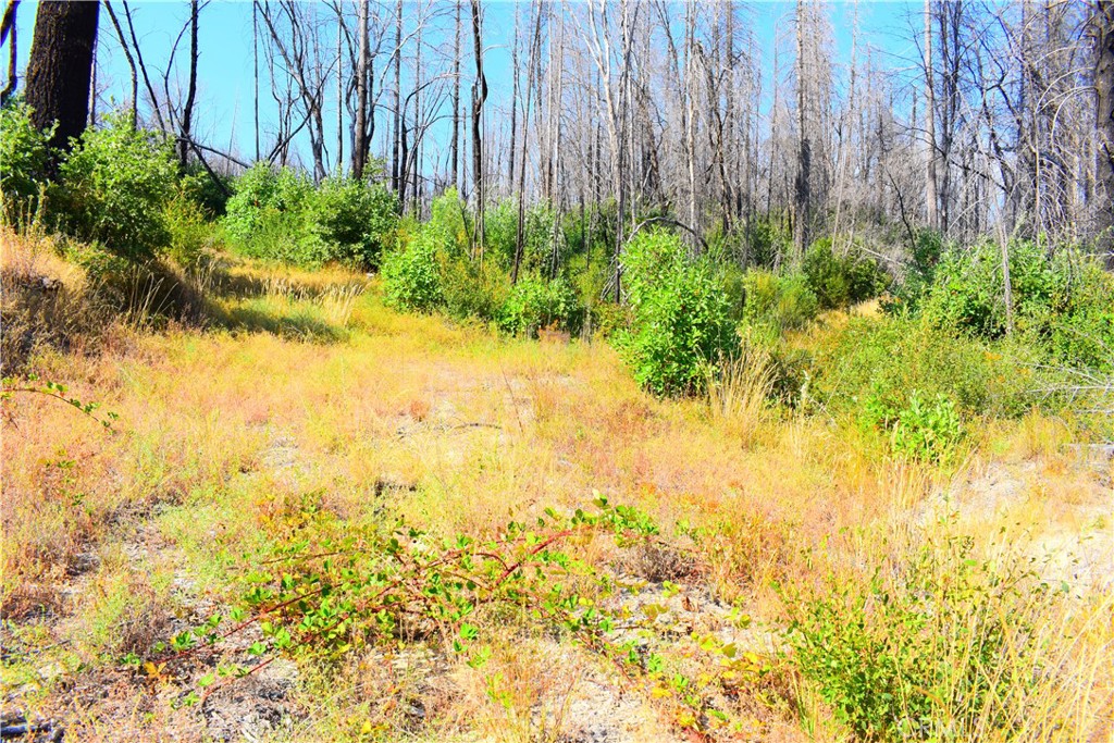 0 A Oak Drive Property Photo 10