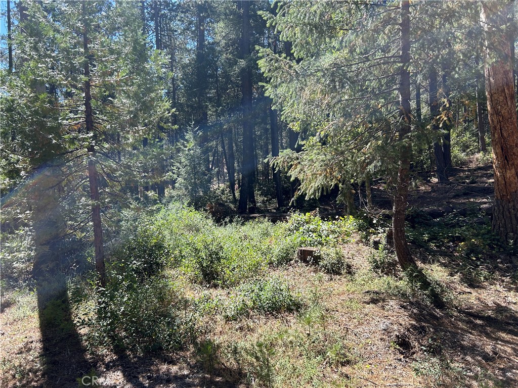 0 Coutelenc Property Photo 1