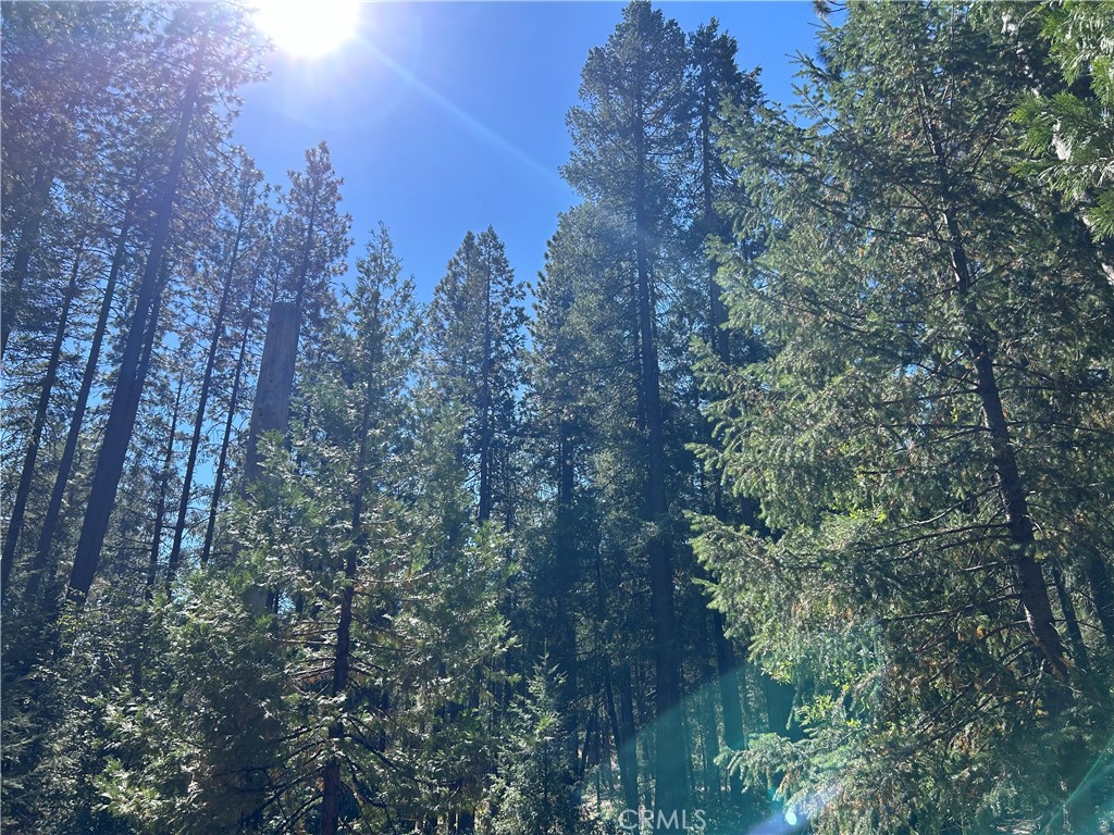 0 Coutelenc Property Photo 2