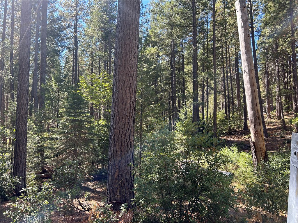 0 Coutelenc Property Photo 3