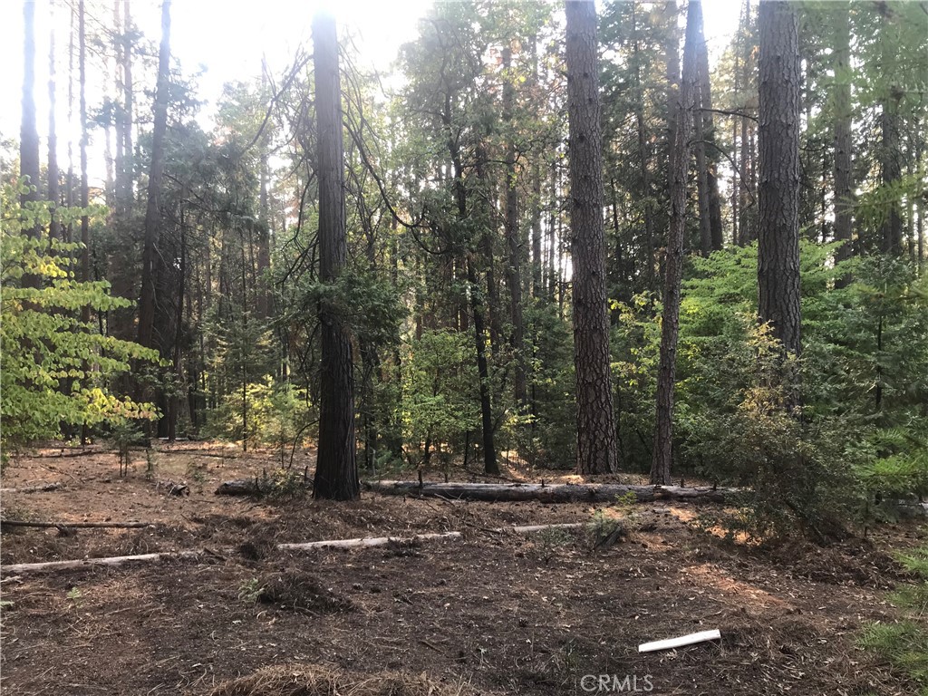 1 Kaelin Property Photo 1
