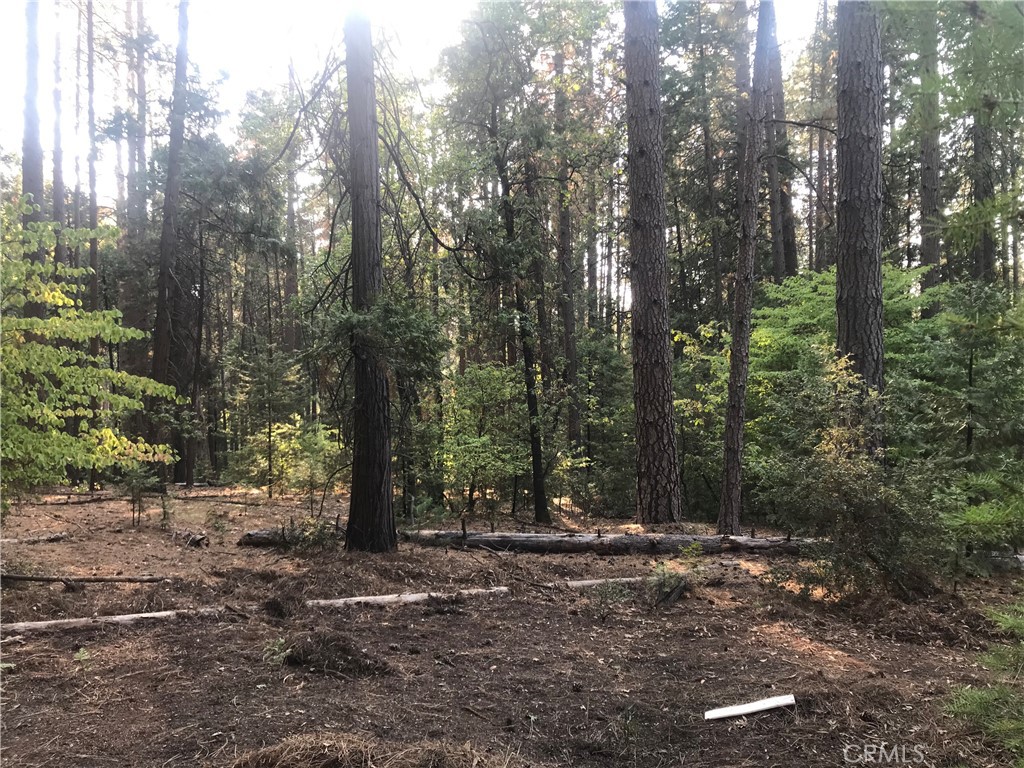 1 Kaelin Property Photo 1
