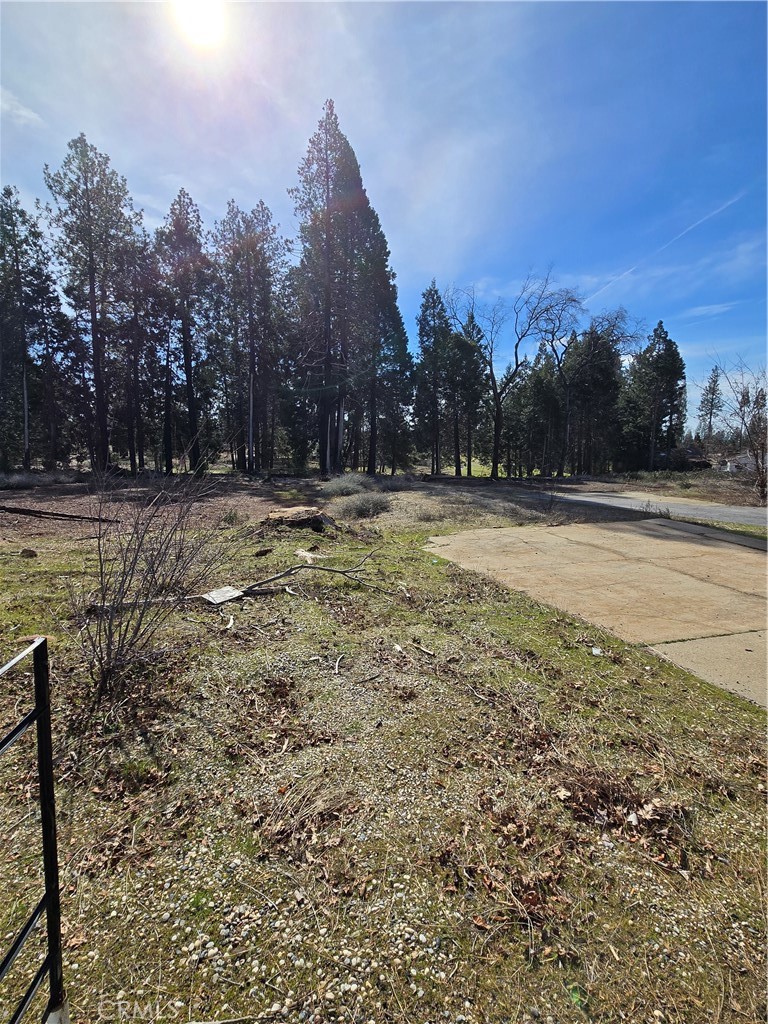 13756 W Park Drive Property Photo 1