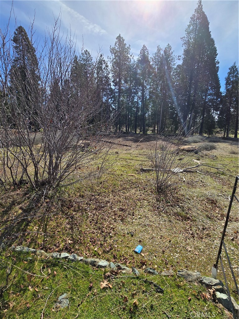 13756 W Park Drive Property Photo 3