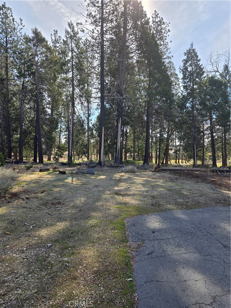 13750 W Park Drive Property Photo 2