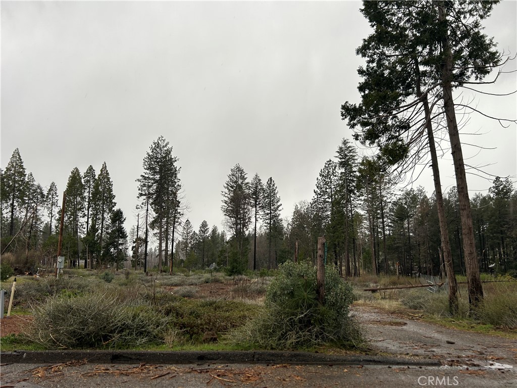 13925 Chestnut Circle Property Photo