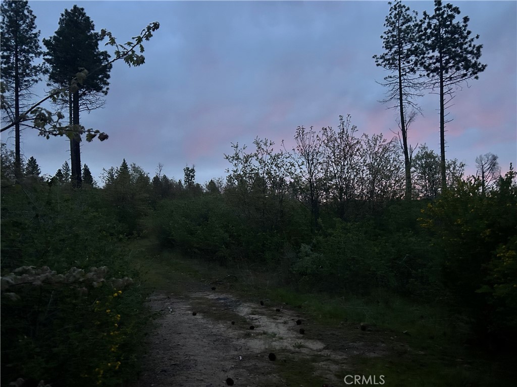 1 Hog Ranch Road Property Photo 1