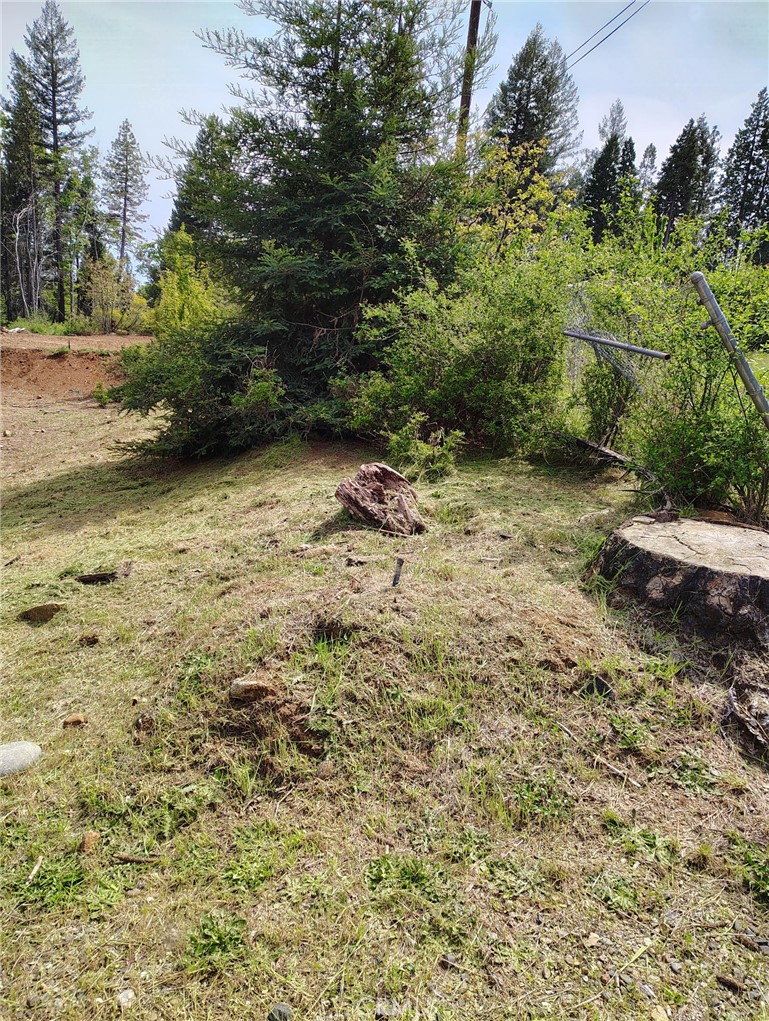 14770 Goldcone Drive Property Photo 1