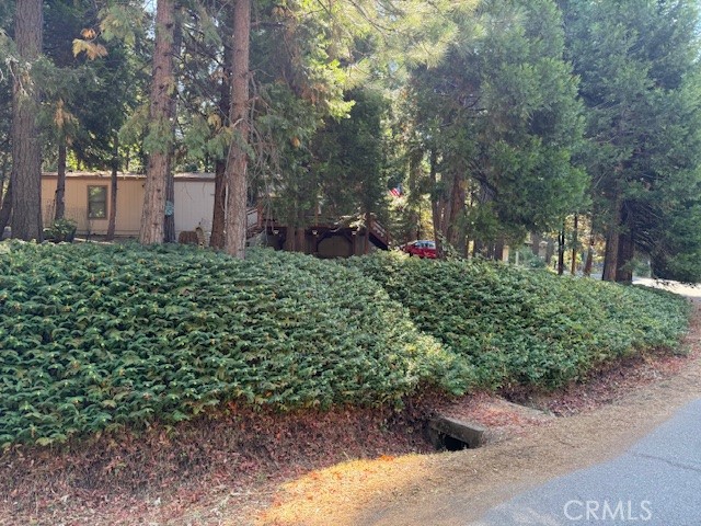 6217 Kilgord Court Property Photo 2