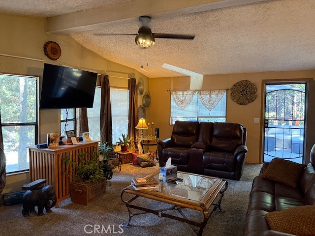6217 Kilgord Court Property Photo 34