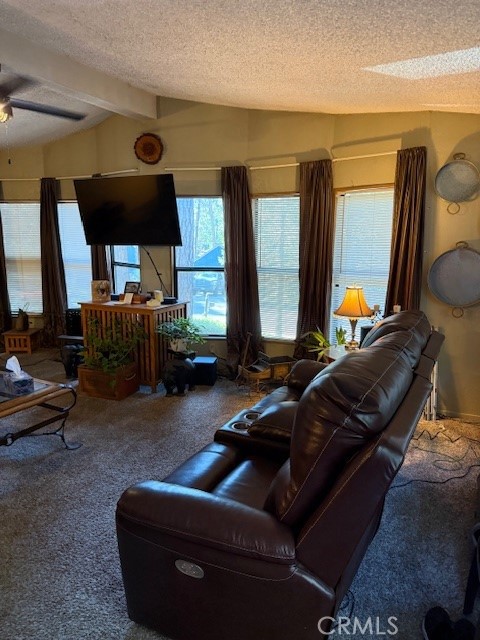 6217 Kilgord Court Property Photo 39