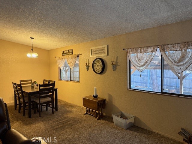 6217 Kilgord Court Property Photo 44