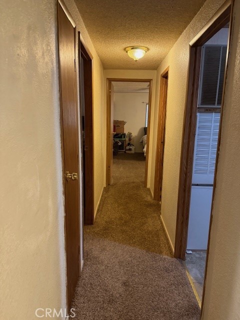 6217 Kilgord Court Property Photo 48