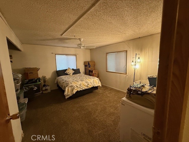 6217 Kilgord Court Property Photo 63