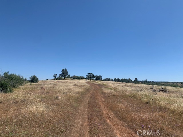 0 Calernbar Road Property Photo 9