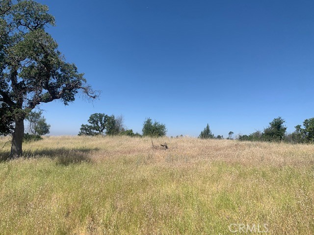 0 Calernbar Road Property Photo 13