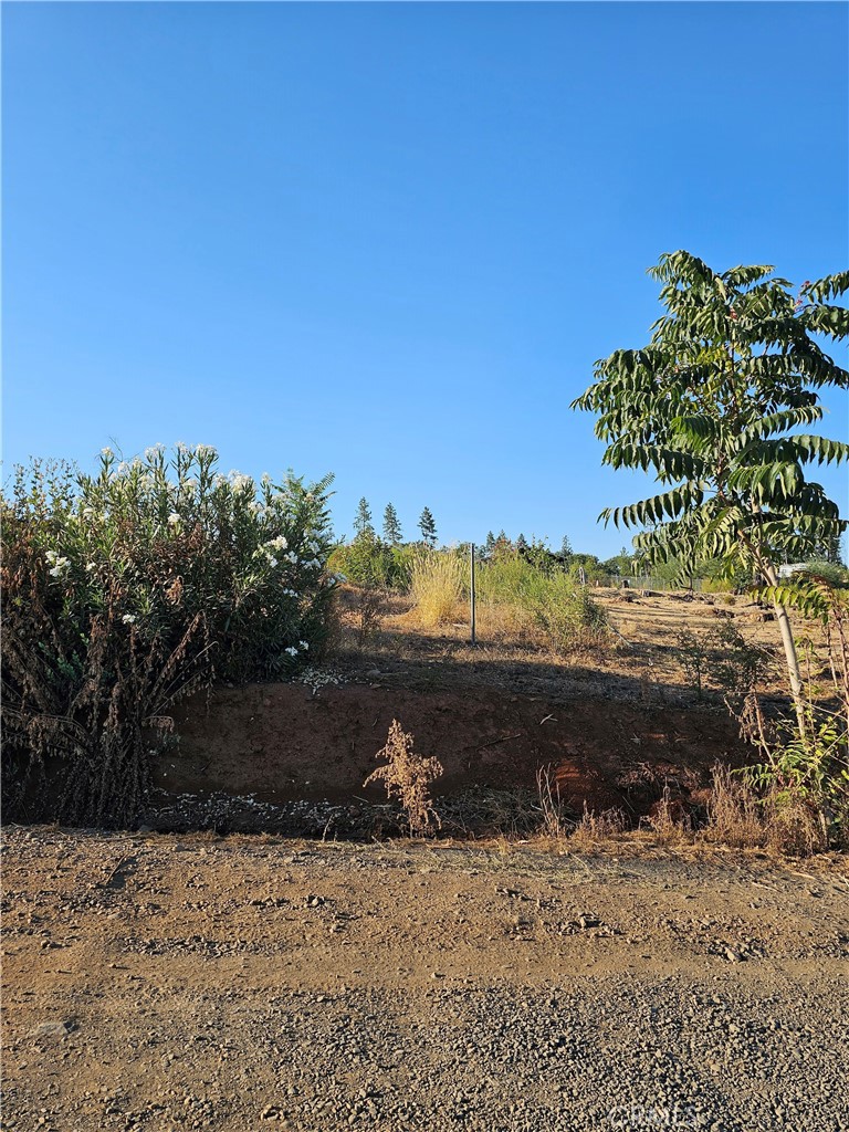 1429 Bennett Road Property Photo 1