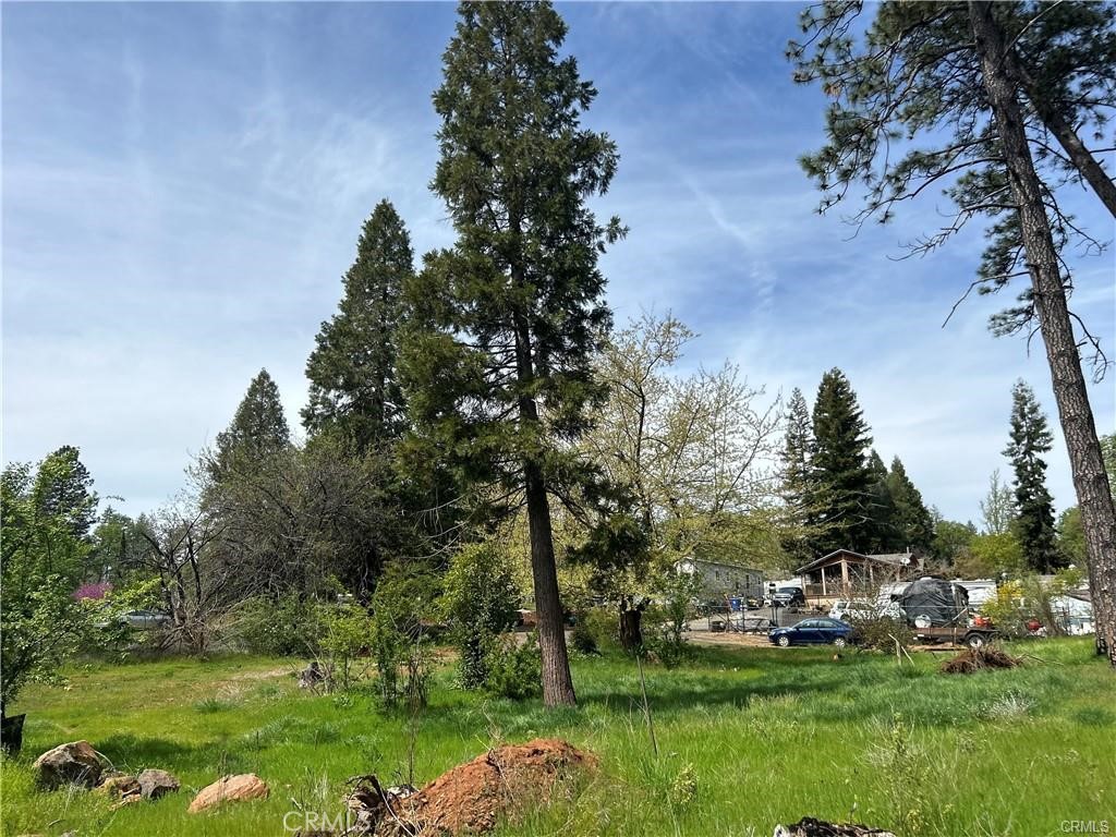 1616 Walnut Lane Property Photo 1