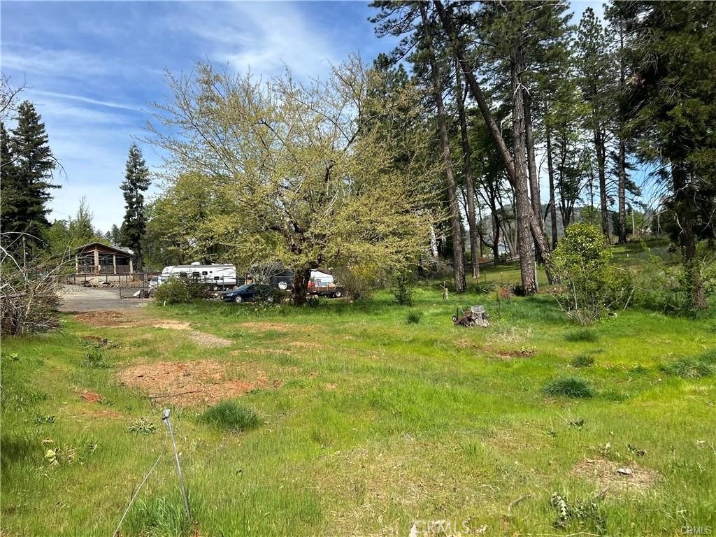 1616 Walnut Lane Property Photo 3