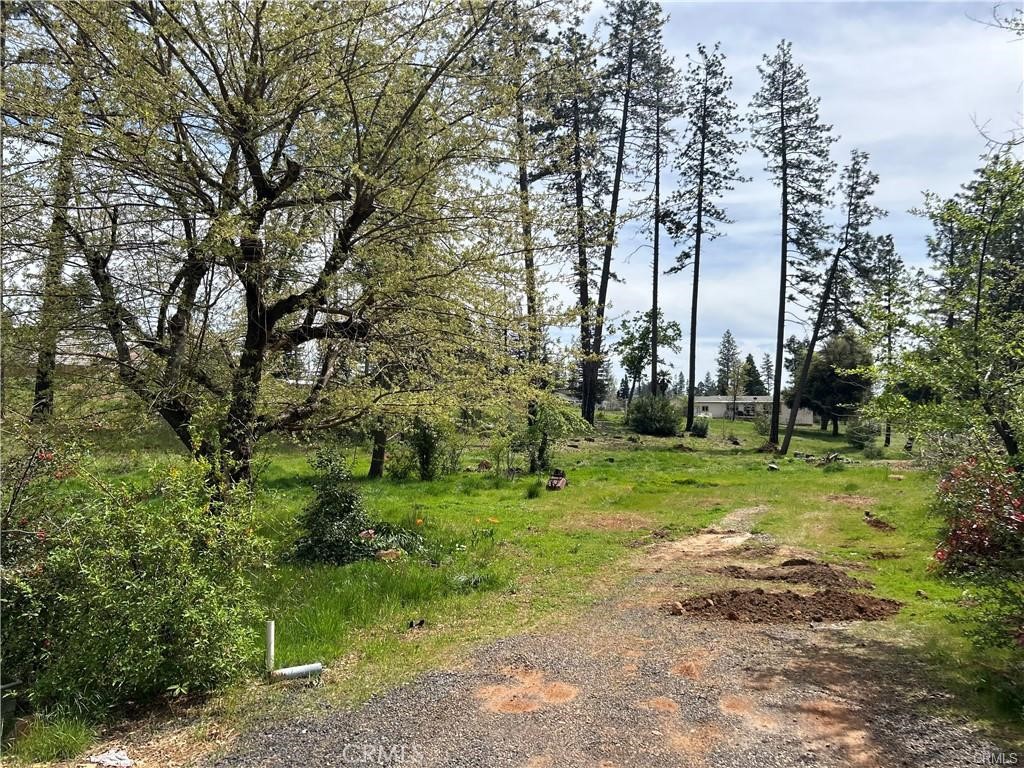1616 Walnut Lane Property Photo 6