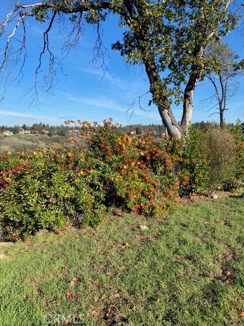 4847 Skyway Property Photo 13