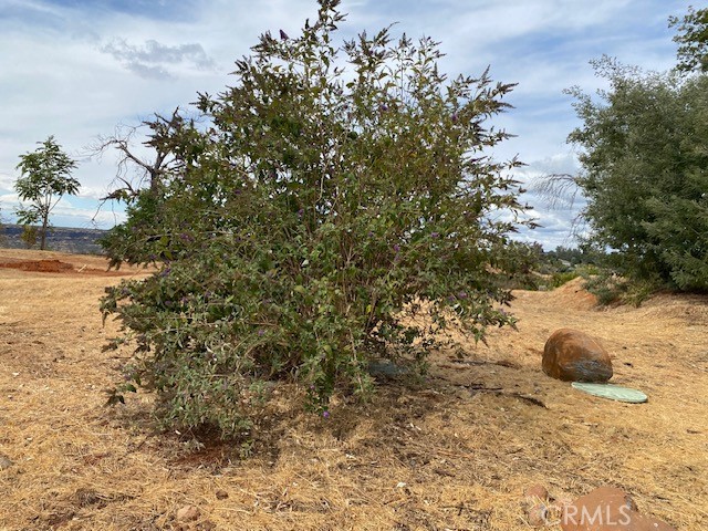 4847 Skyway Property Photo 18