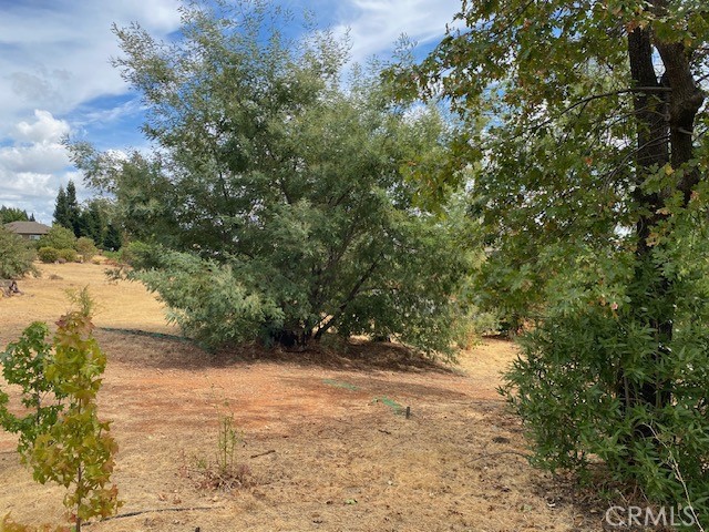 4847 Skyway Property Photo 20
