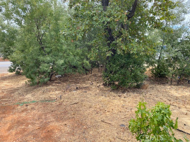 4847 Skyway Property Photo 21