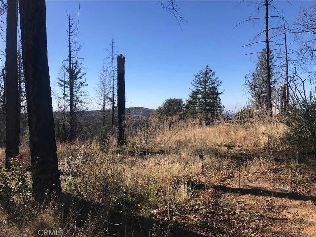 0 Kaelin Property Photo 1
