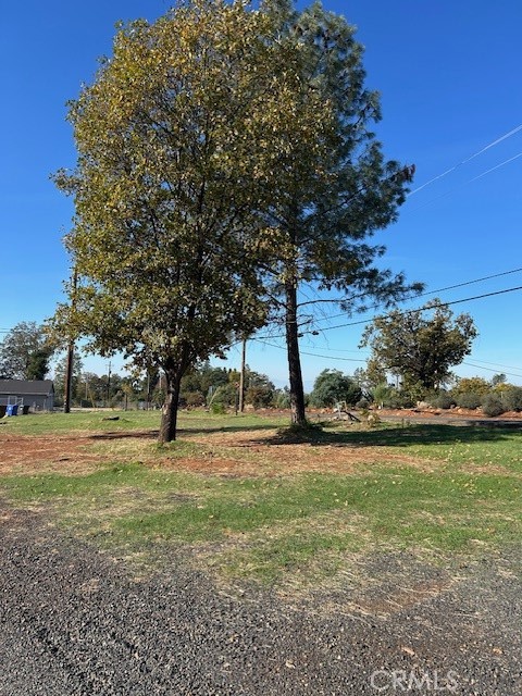 3898 Neal Property Photo 3