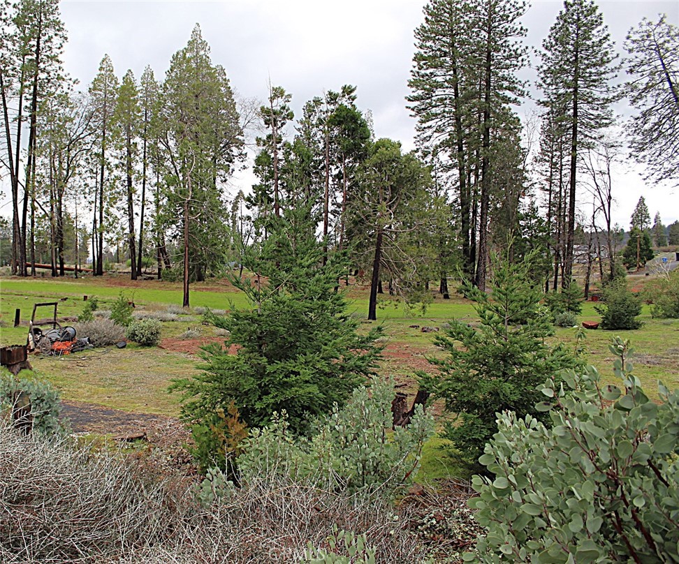 13691 Endicot Property Photo 3