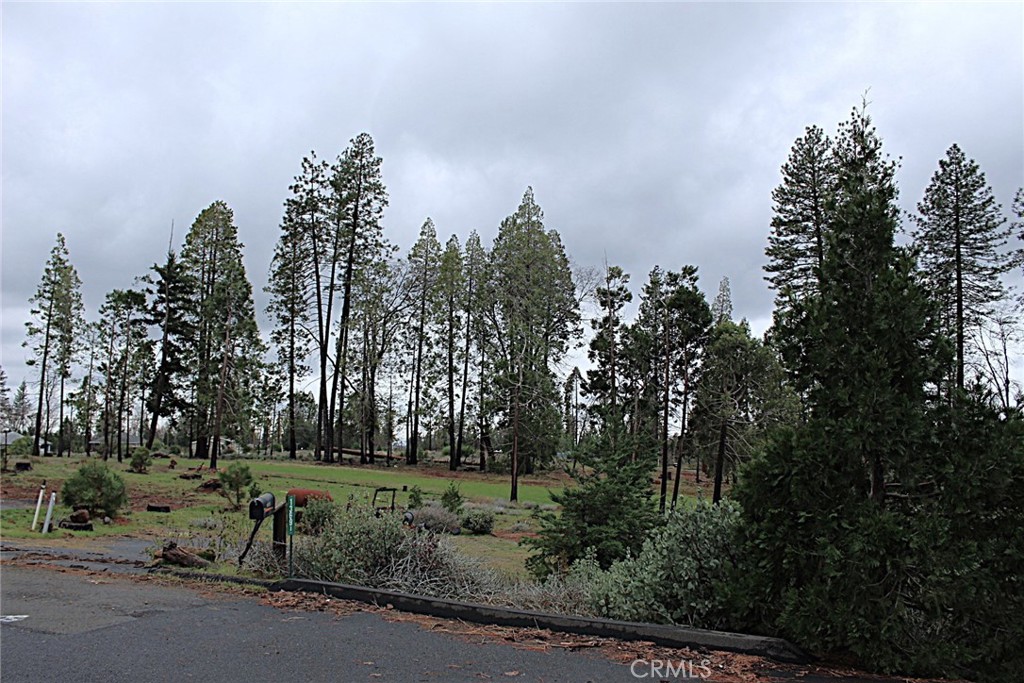 13691 Endicot Property Photo 4
