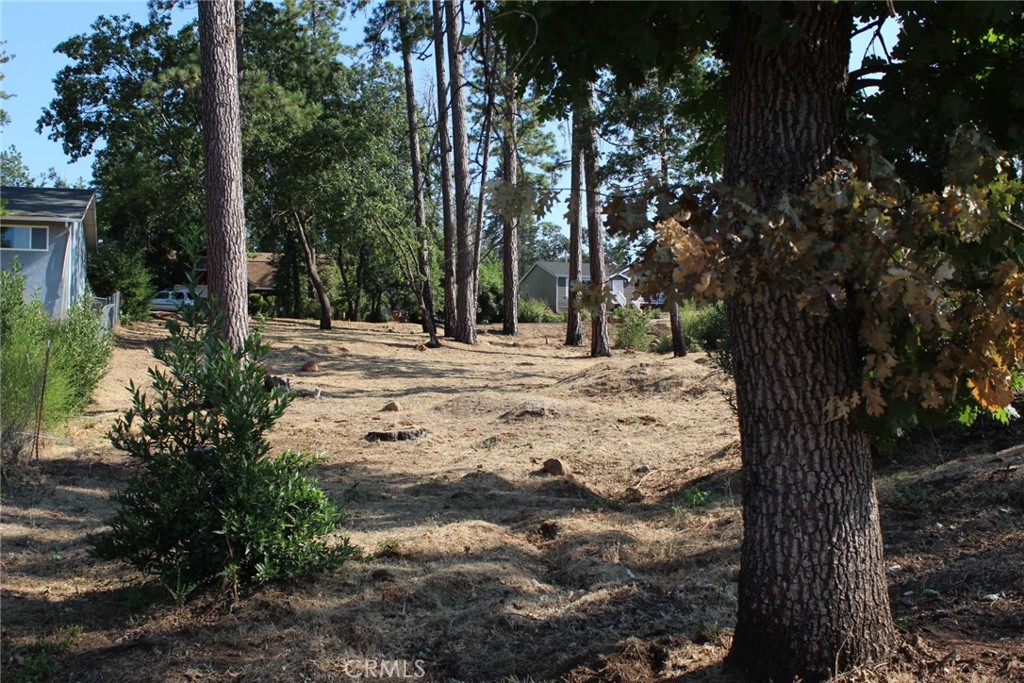 1830 Mosure Property Photo 4