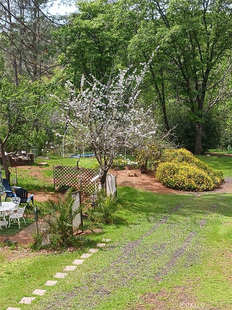 5129 Toyon Property Photo 8