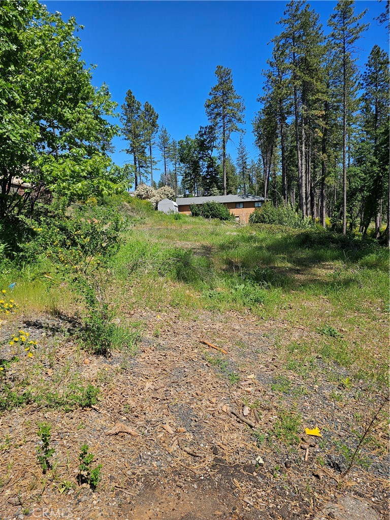 5389 Breezewood Property Photo 2