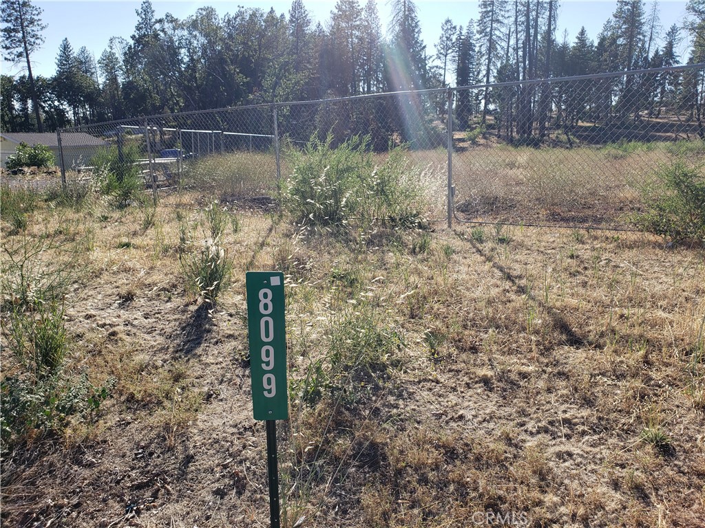 8099 Skyway Property Photo 1
