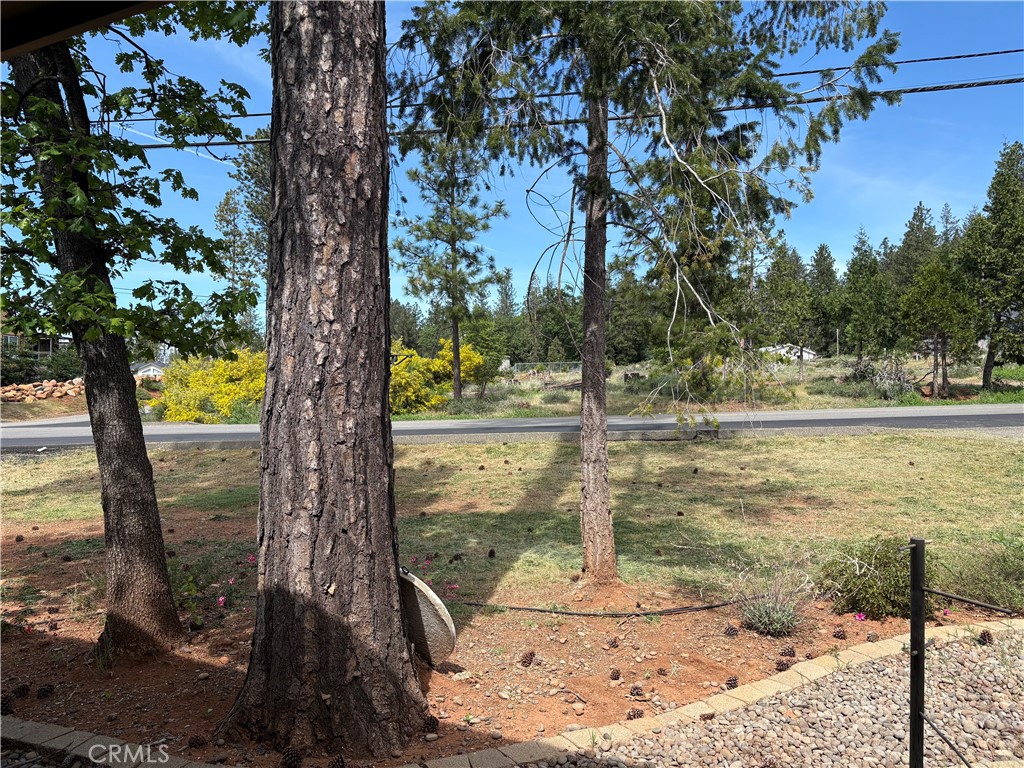 14006 Creston Property Photo 18