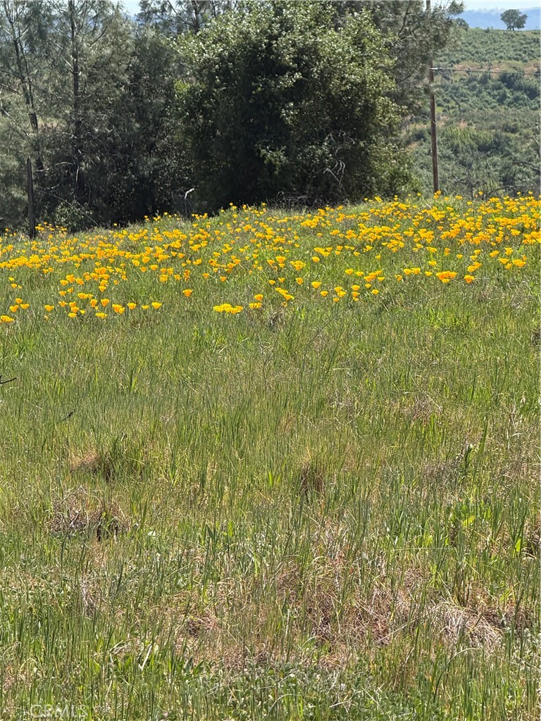 0 Round Valley Ranch Road Property Photo 1