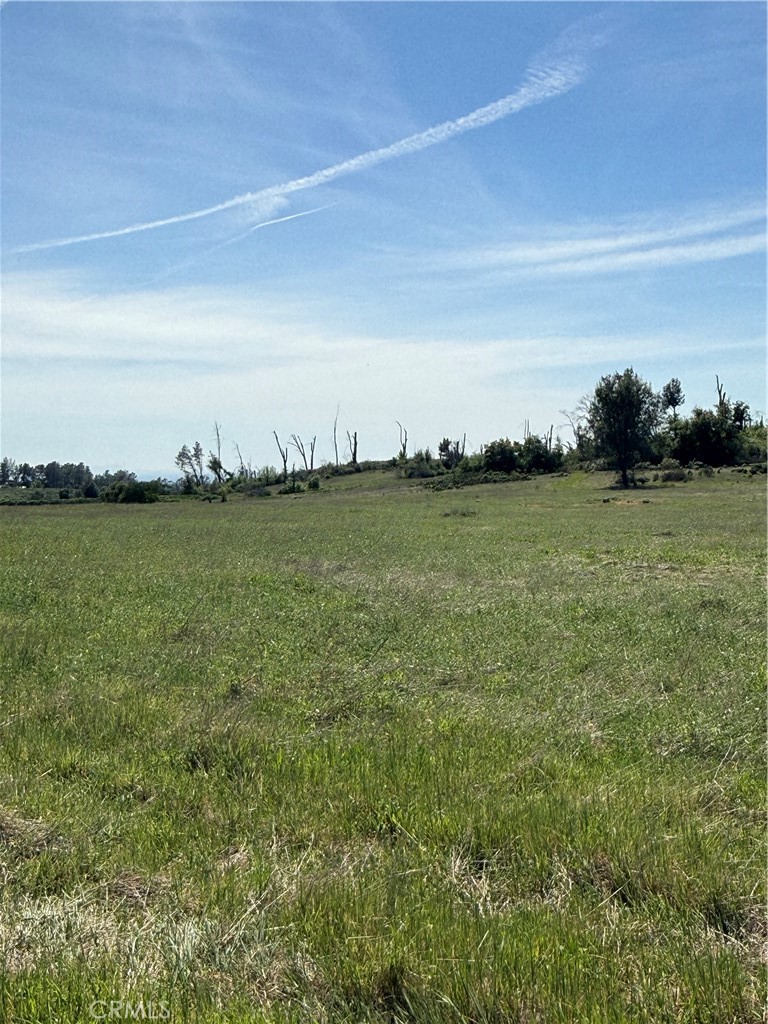 0 Round Valley Ranch Road Property Photo 3