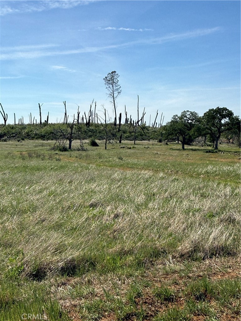 0 Round Valley Ranch Road Property Photo 4
