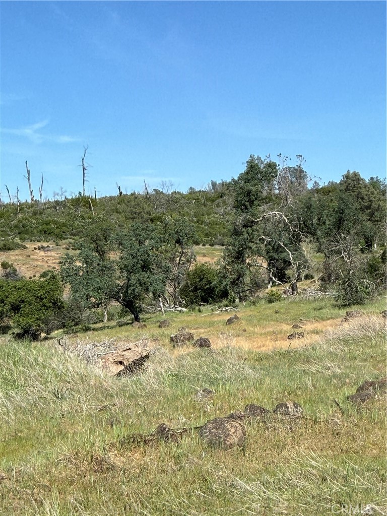0 Round Valley Ranch Road Property Photo 5