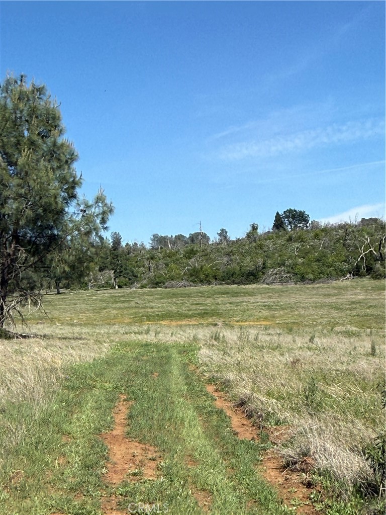0 Round Valley Ranch Road Property Photo 8