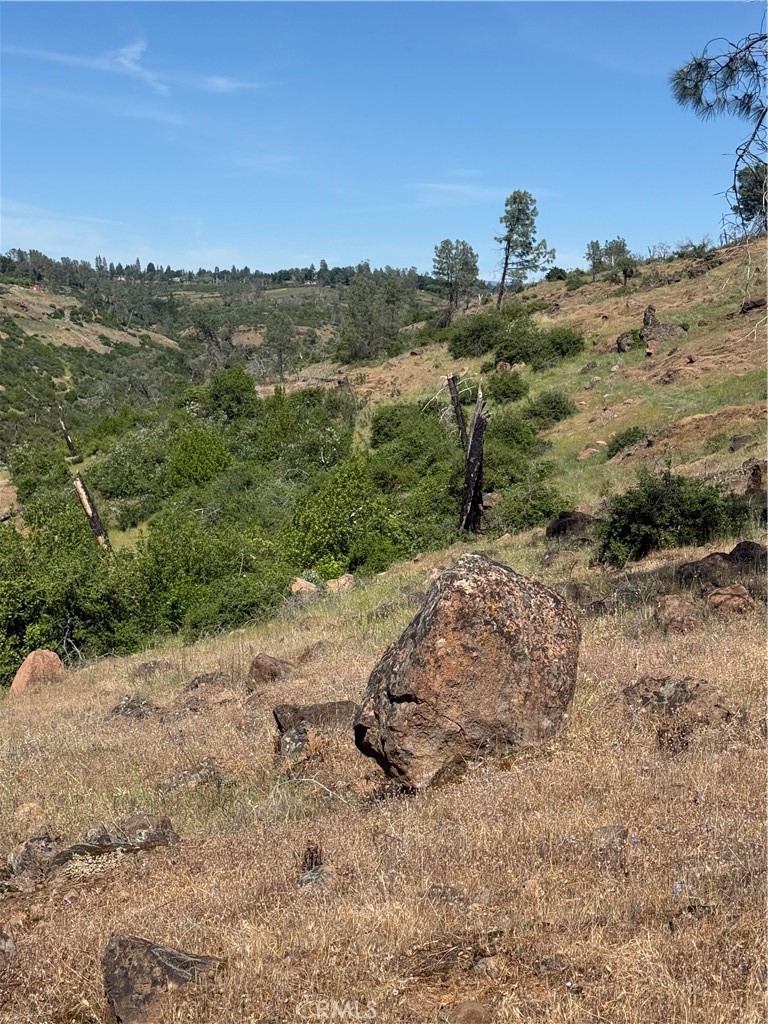 0 Round Valley Ranch Road Property Photo 9