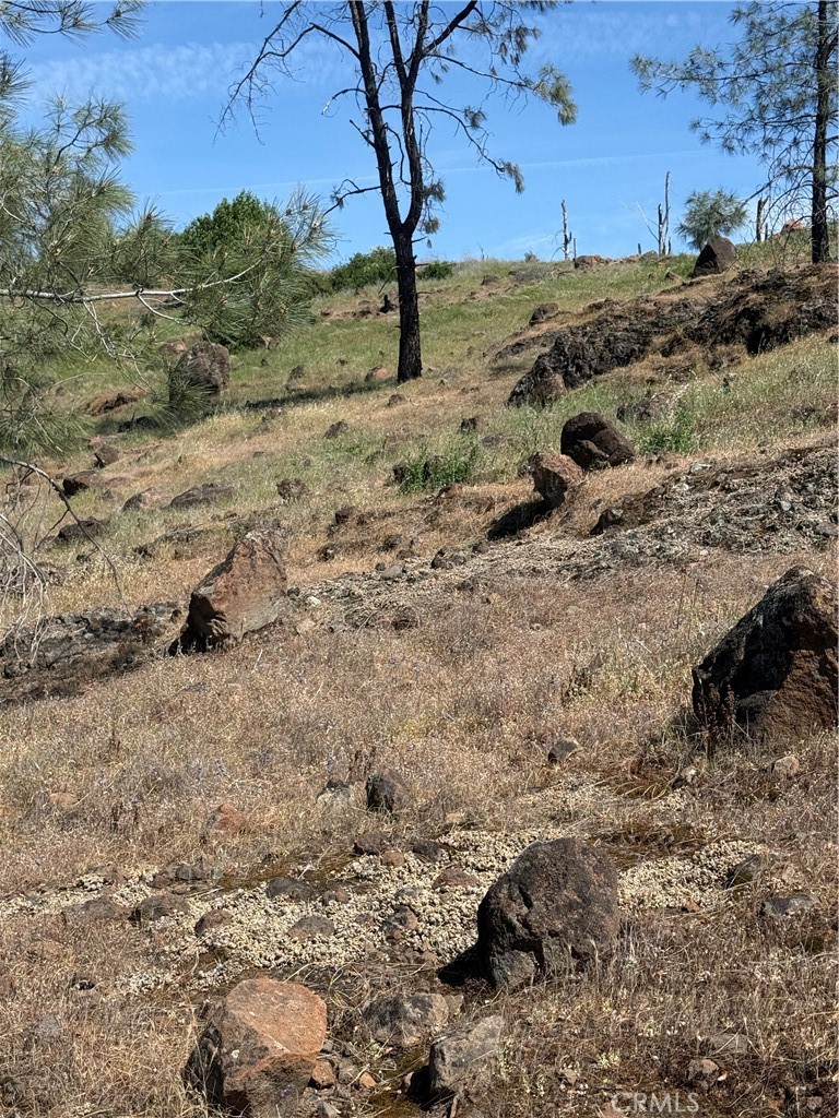 0 Round Valley Ranch Road Property Photo 10