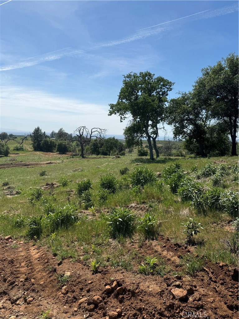 0 Round Valley Ranch Road Property Photo 13